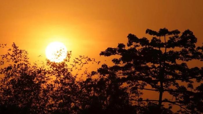 প্রতীকী ছবি