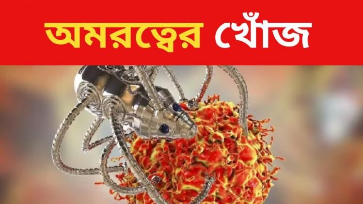 'মানুষ মাত্র ৭ বছর পরেই অমর হয়ে যাবে', বড় দাবি প্রাক্তন Google ইঞ্জিনিয়রের