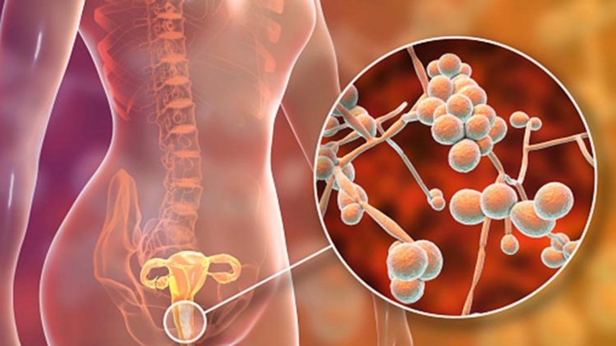 Kristina Orbakaitening tukli mushuki Shaffof kiyimdagi ayollar jinsiy aloqa