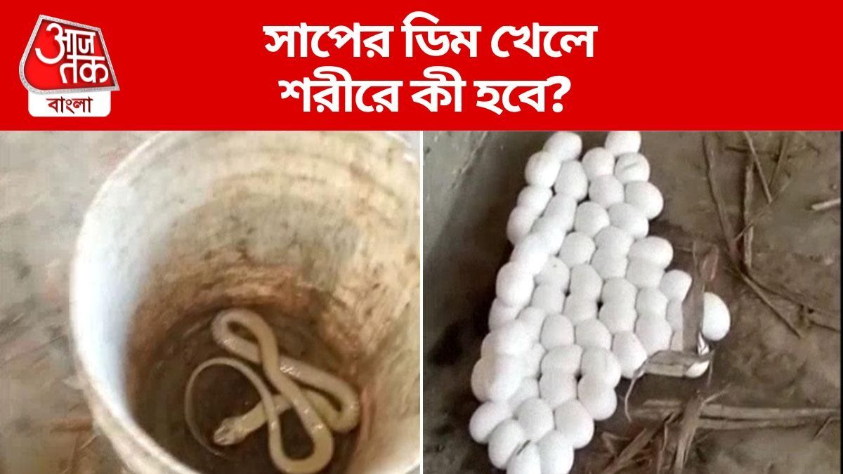 মুরগির ডিমের মতো সাপের ডিম কি খাওয়া যায়, এতে কি বিষ আছে?