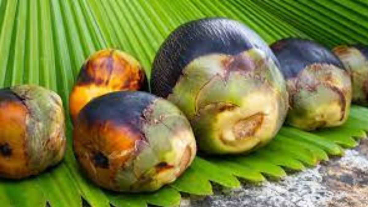 তালকে ইংরেজিতে কী বলে? আচ্ছা আচ্ছা শিক্ষিত লোকও জানে না