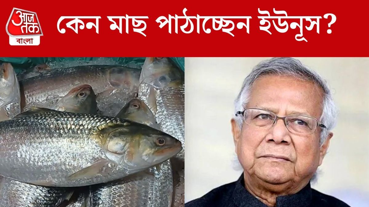 এত দ্বন্দ্ব সত্ত্বেও কেন ভারতে ইলিশ পাঠাচ্ছে বাংলাদেশ? অবশেষে জানা গেল কারণ