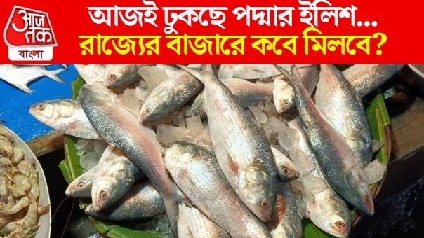 ঢুকছে বাংলাদেশের ইলিশ
