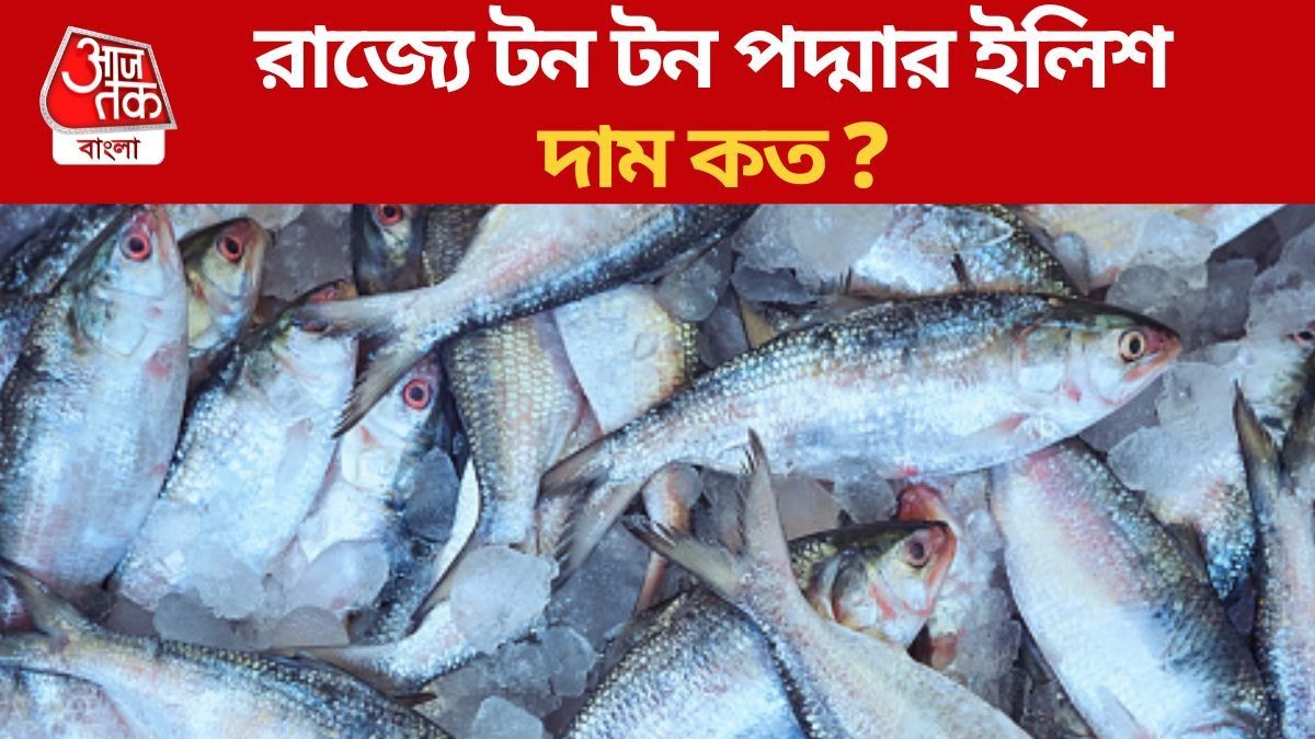 Padma Hilsa at Bengal Market