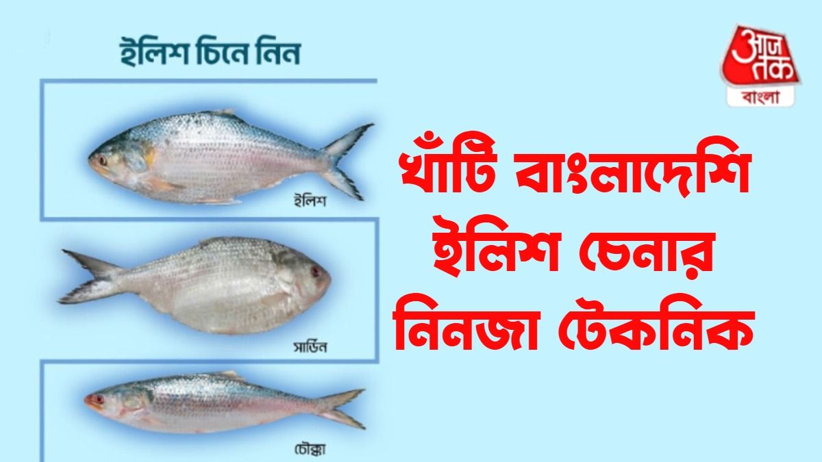 বাংলাদেশি ইলিশ চেনার টেকনিক