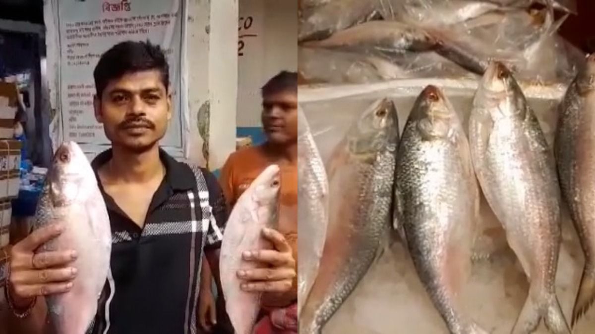 হাওড়ার বাজারে পদ্মার ইলিশ হাতে মাছ ব্যবসায়ী