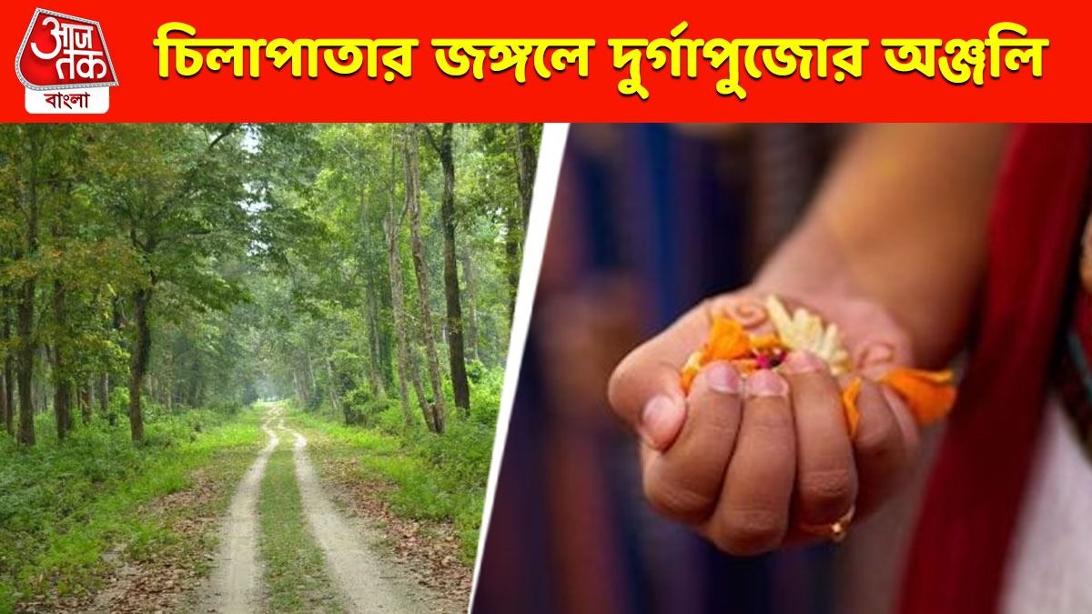 জঙ্গলে ঘুরতে গিয়েও দিতে পারবেন দুর্গাপুজোর অঞ্জলি, ডুয়ার্সের কোথায় জব্বর বন্দোবস্ত