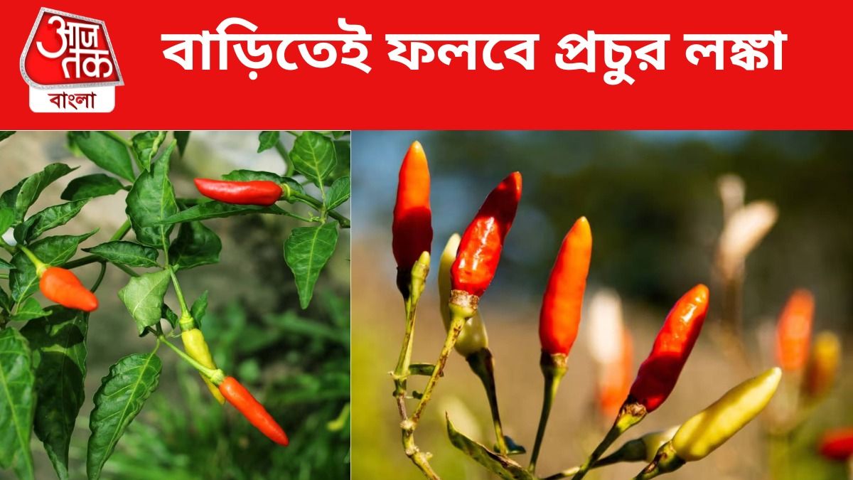 লঙ্কা