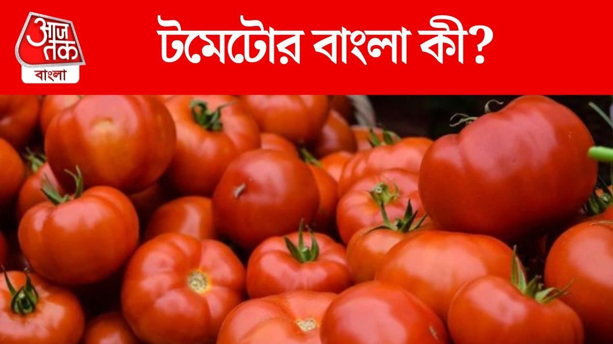 টম্যাটো তো ইংরেজি শব্দ, এর বাংলা অর্থ কী? ৯৯% মানুষের অজানা