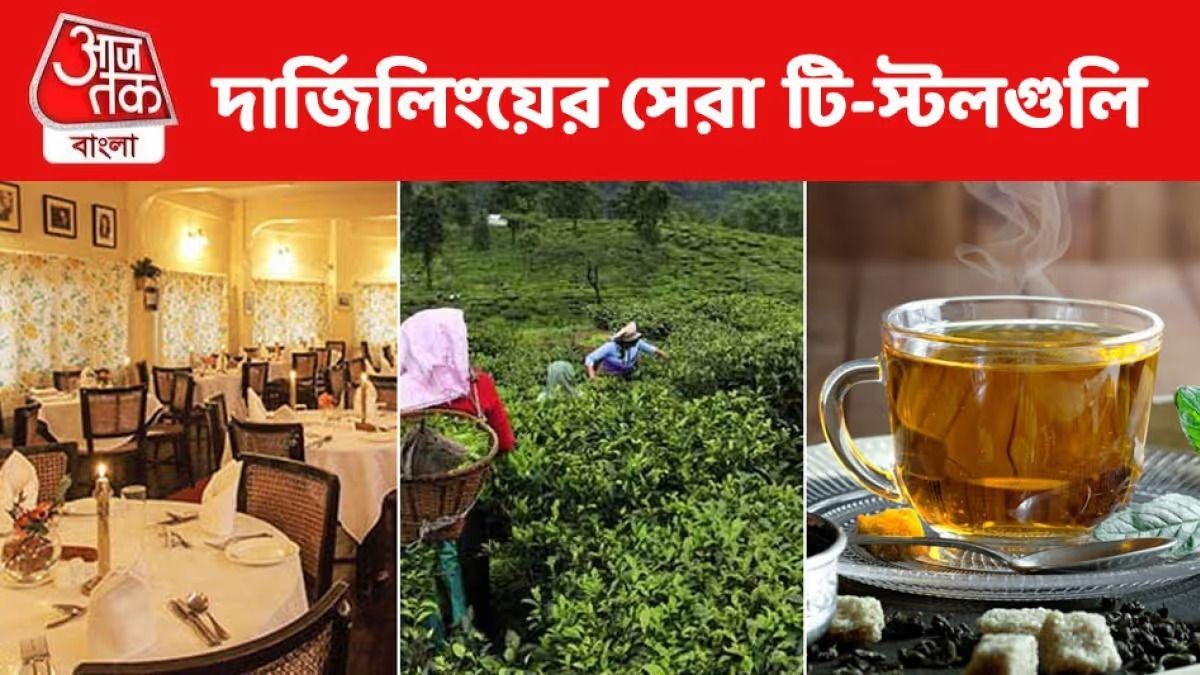 দার্জিলিঙের অথেনটিক চা খেতে চান? এই ৭ ক্যাফে বেস্ট
