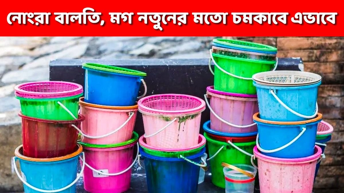 বাথরুমের মগ- বালতি