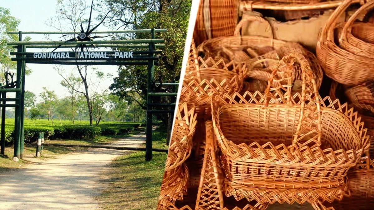 এখন পছন্দ করুন, পরে বাড়ি বসেই কিনতে পারবেন; গরুমারায় হস্তশিল্পে দারুণ অফার