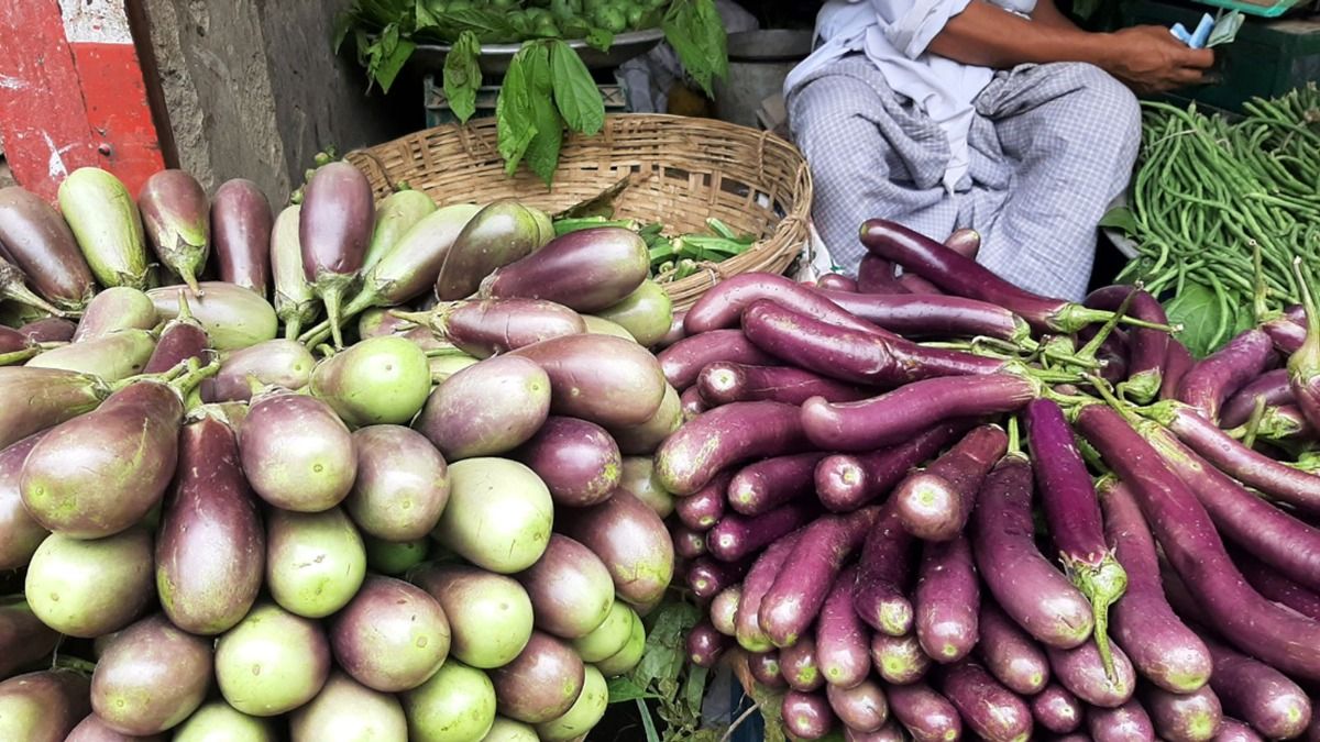 বেগুন কেনার পদ্ধতি শিখে নিন।