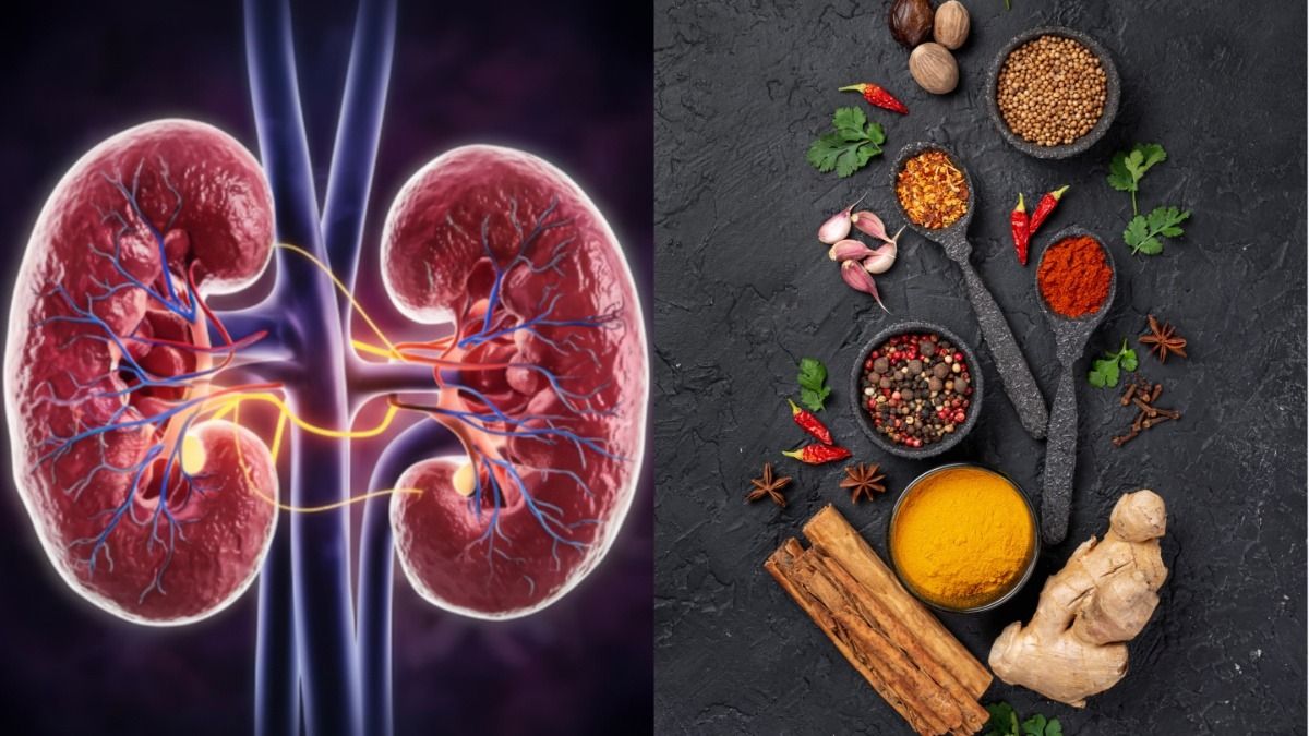 রোজকার এই ৫ খাবার খেলেই কিডনি ফেল, এখনই সতর্ক হোন
