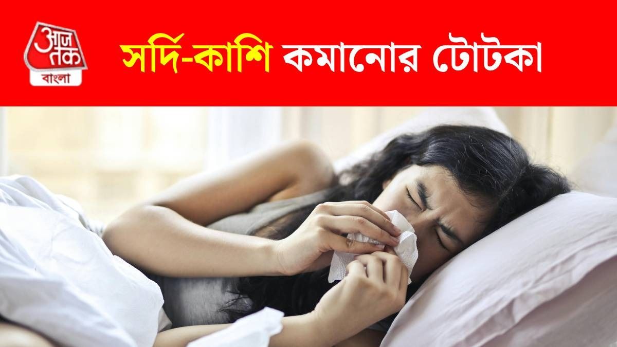 সর্দি-কাশিতে অ্যান্টিবায়োটিক এড়াতে চাইছেন? ঘরোয়া টোটকা রইল, দ্রুত সেরে যাবে