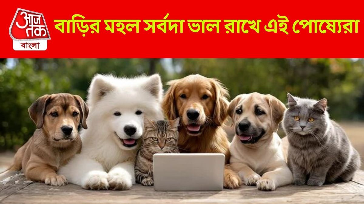 বাড়ির জন্য শুভ এই পোষ্য়েরা