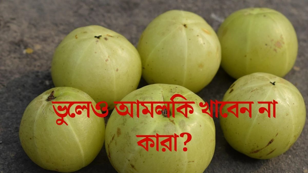 সুপারফুড আমলকিতে মারাত্মক বিপদ, কাদের খাওয়া উচিত নয়? জানাটা জরুরি