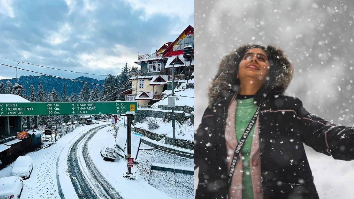 মানালি, কাশ্মীরে ব্যপক তুষারপাত, দারুণ খুশি পর্যটকরা; দেখুন PHOTOS