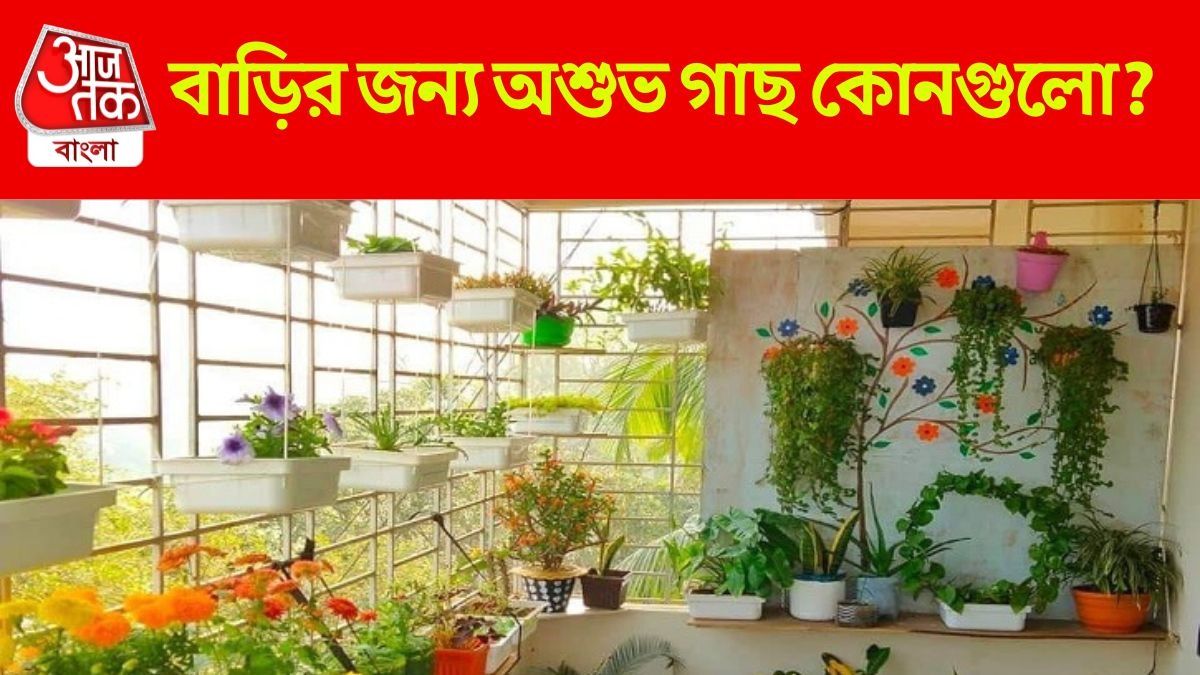 বাড়ির জন্য এই গাছগুলো অশুভ