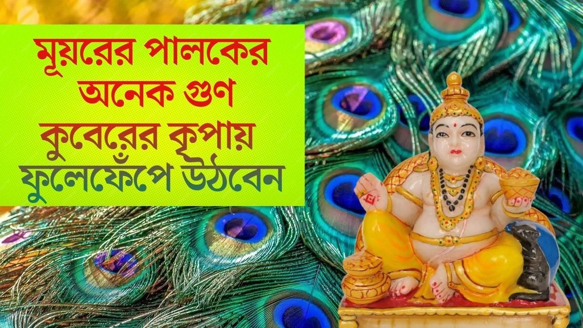 বাড়ির এই ৫ জায়গায় ময়ূরের পালক রাখুন,কখনও টাকার অভাব হবে না