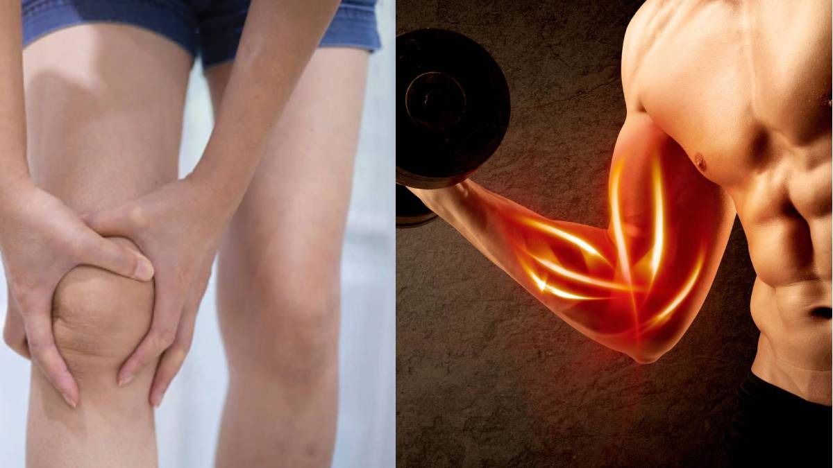 ফাঁপা হাড়ও হবে মজবুত, ব্যথা এবং দুর্বলতা দূর করতে খান এই ড্রাই ফ্রট