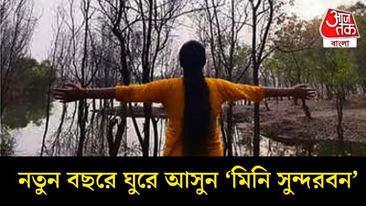 রঞ্জনডিহ ড্যাম