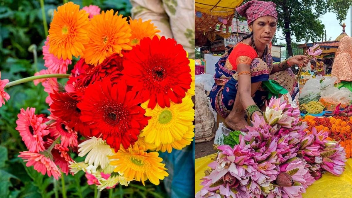 শীতে এই ফুলের চাষ করলে পাবেন বাম্পার লাভ, দুর্দান্ত আয়ের সুযোগ