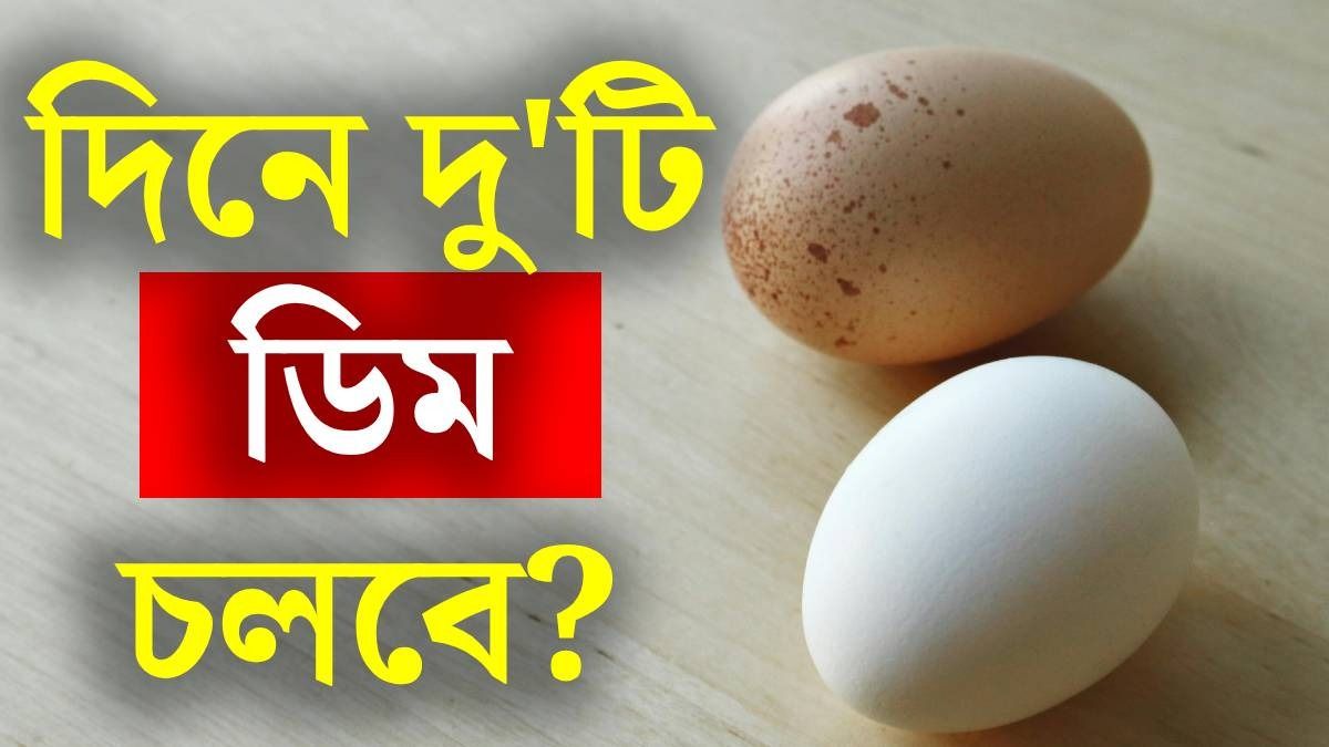 দিনে দু'টি ডিম খাওয়া কি নিরাপদ? সুস্থ থাকতে জেনে নিন