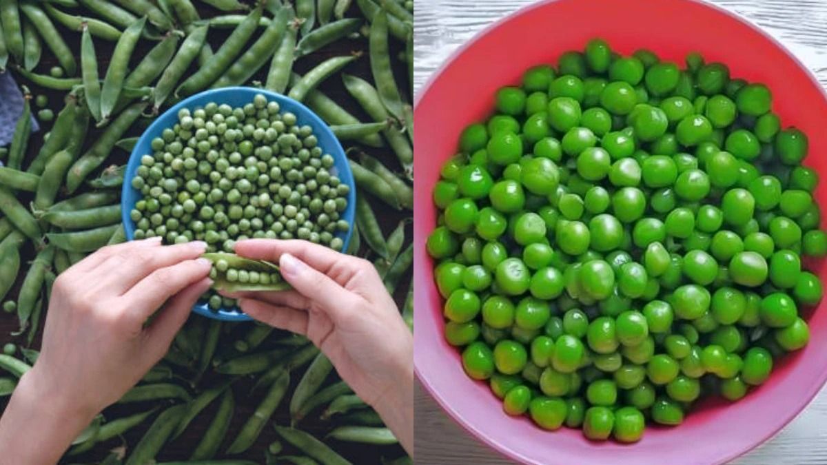 কড়াইশুঁটি