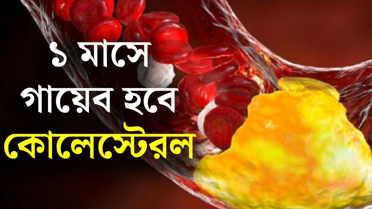 কোলেস্টেরল কন্ট্রোল