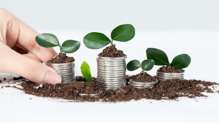 বাস্তুশাস্ত্রে বিশ্বাসীদের কাছে এই গাছের গুরুত্ব আরও বেশি। বাস্তু মতে, কয়েন প্ল্যান্ট মানি প্ল্যান্টের মতোই ঘরে ইতিবাচক শক্তি আনে এবং অর্থ আকর্ষণে সহায়ক হতে পারে। সেই কারণেই অনেকেই ঘরের ভেতরে বা বারান্দায় এই গাছ রাখেন।