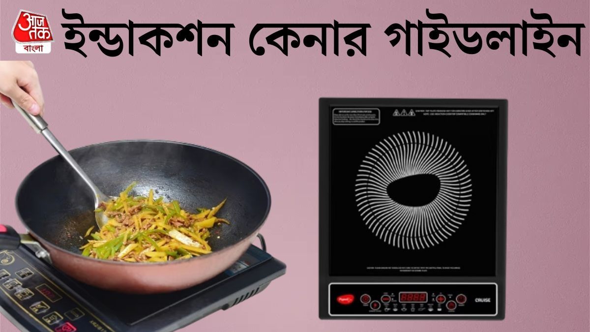 ইন্ডাকশন কুকার