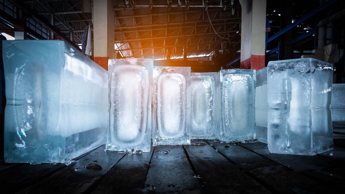 মাসে দেড় লাখ টাকা প্রফিট, প্রথম দিন থেকেই চলতে শুরু করবে এই ব্যবসা, চাকরি ভুলে যান