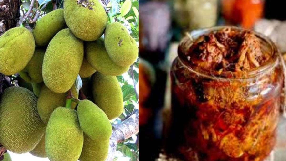 কাঁঠালের আচার