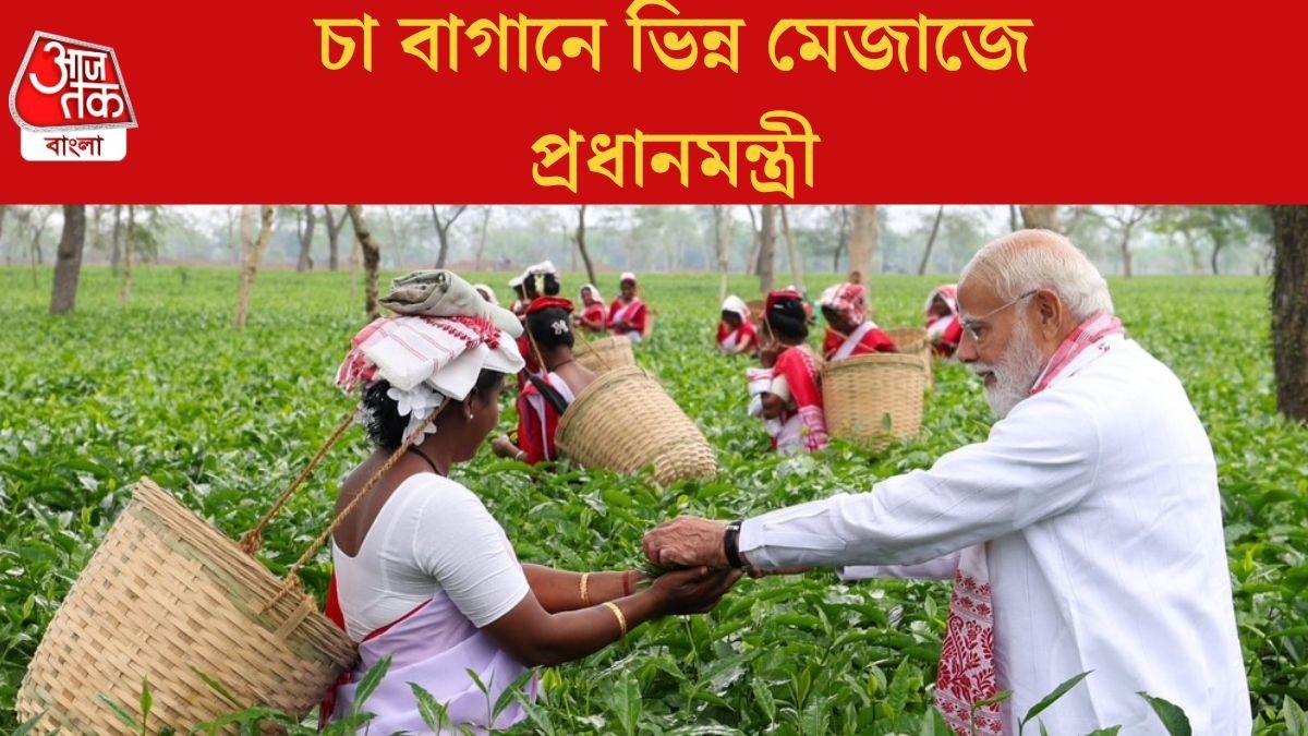  চা বাগানে মহিলাদের সঙ্গে সেলফি তুললেন PM মোদী, খোশ মেজাজে চা পাতাও তুললেন
