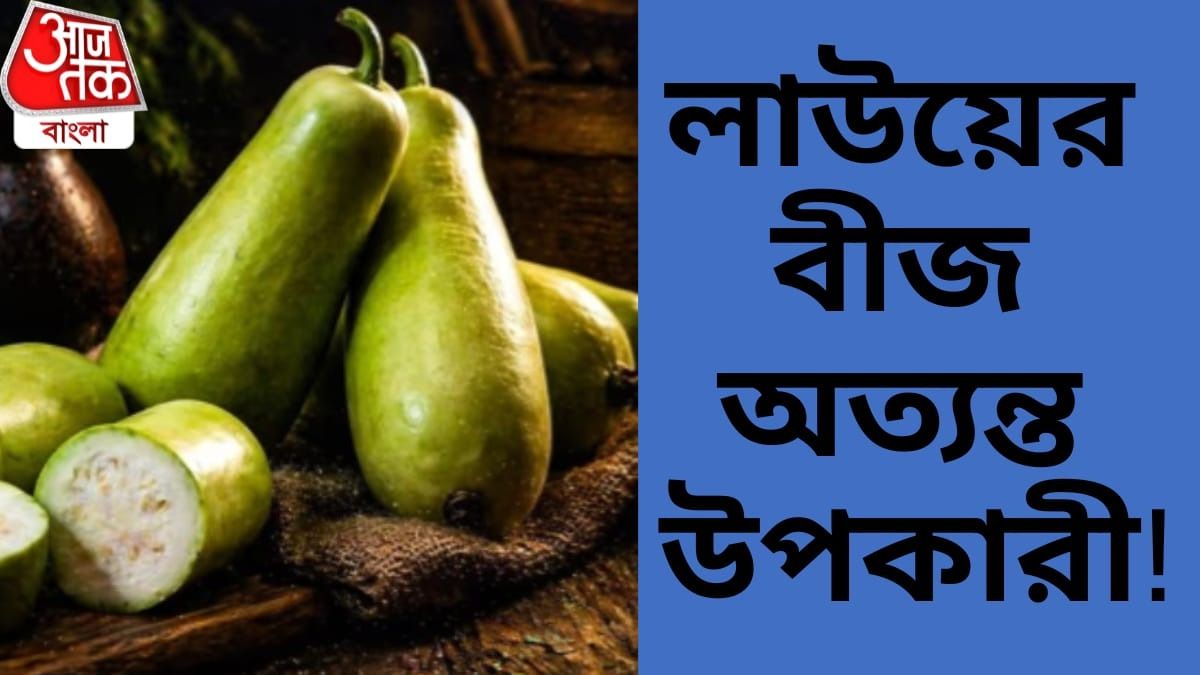 লাউয়ের বীজ