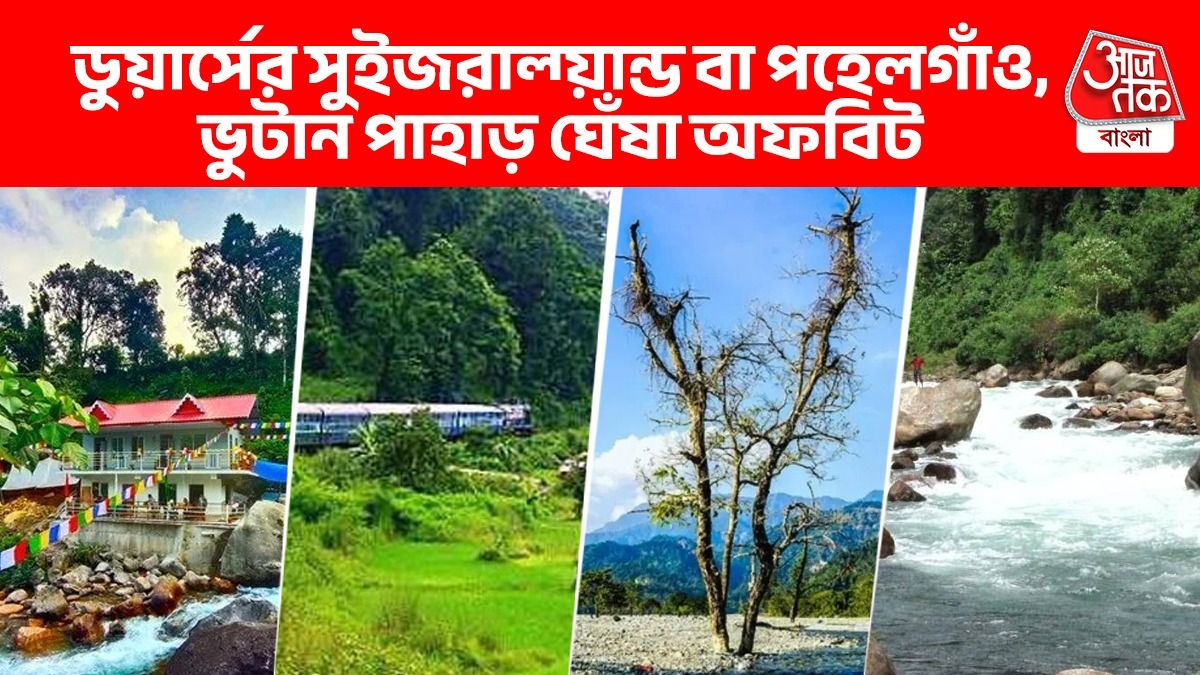 Rango Village Dooars Travel Guide: যেখানে ভুটান পাহাড় মিশেছে ডুয়ার্সে, গরমের ছুটিতে আদর্শ অফবিট; অনেকে বলেন সুইজারল্যান্ড