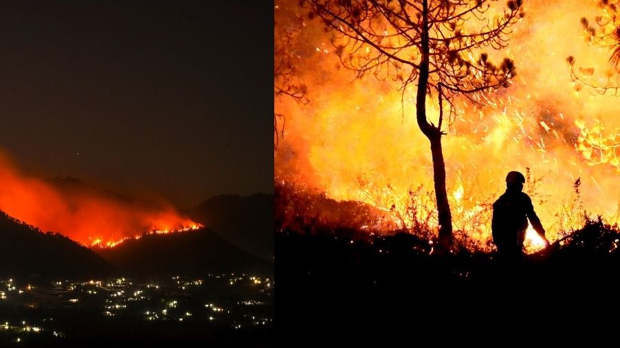 দাউদাউ জ্বলছে পাহাড়, হিমাচল-উত্তরাখণ্ডে ভয়াবহ দাবানল, নামল বায়ুসেনা, বিপন্ন হিমবাহ