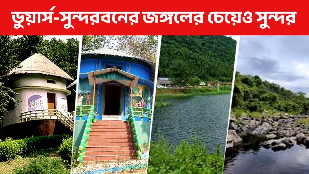 ডুয়ার্স-সুন্দরবনের জঙ্গলের চেয়েও সুন্দর