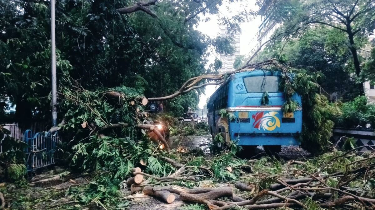 গাছে চাপা পড়ল গাড়ি, ডুবল রাস্তা! কলকাতার প্রবল ঝড়-বৃষ্টির ১০ দৃশ্য