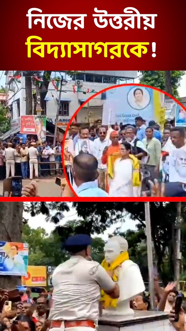 Mamata Banerjee Stole Controversy