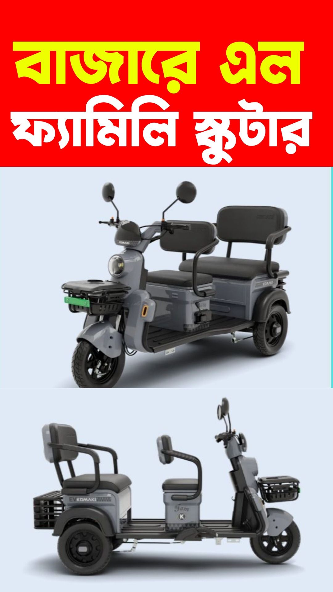 Electric Family Scooter