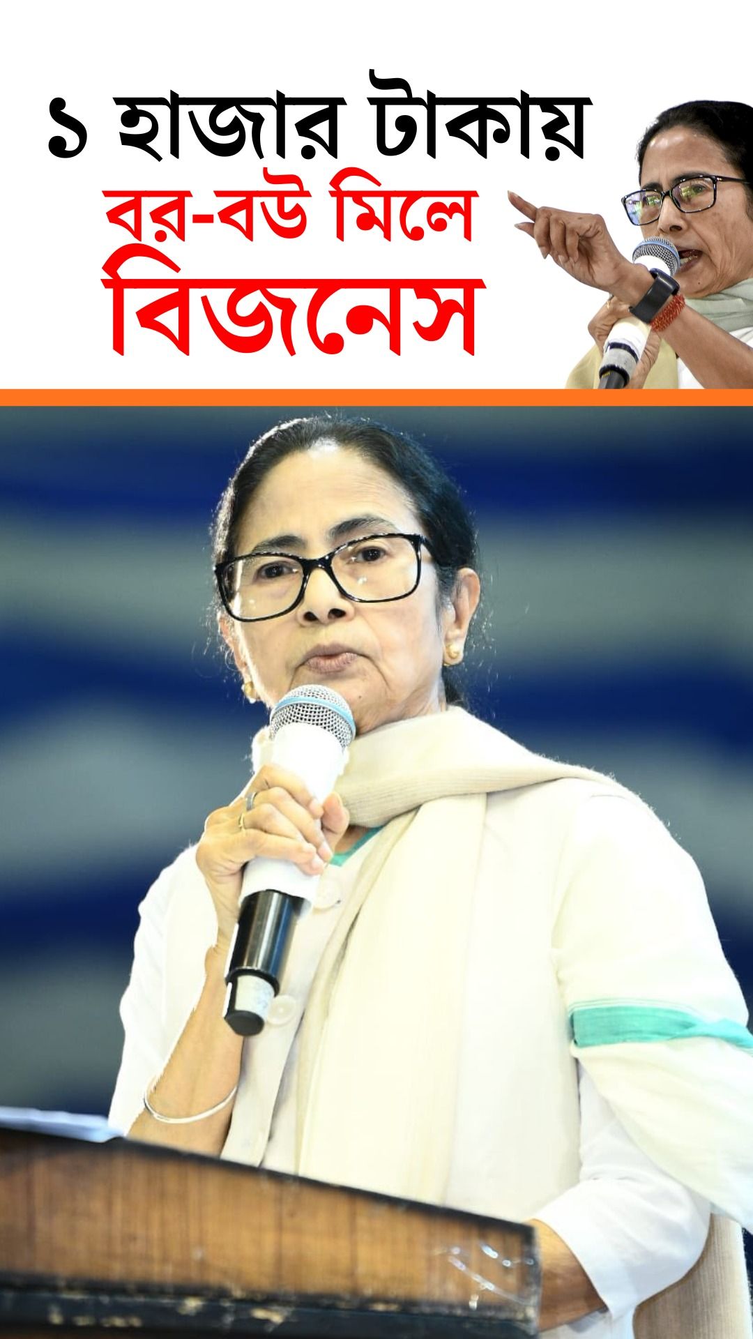 Mamata Banerjee Business Idea