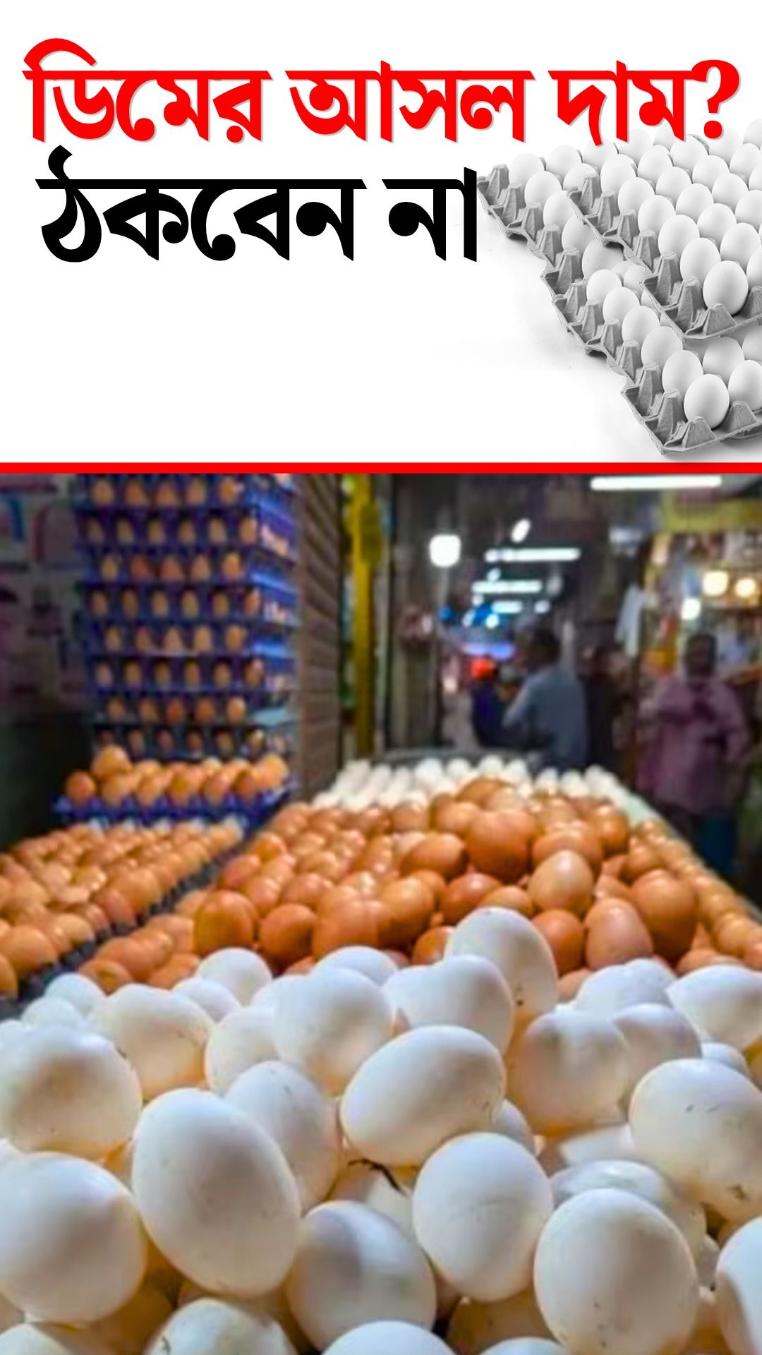 Egg Price Hike Updates