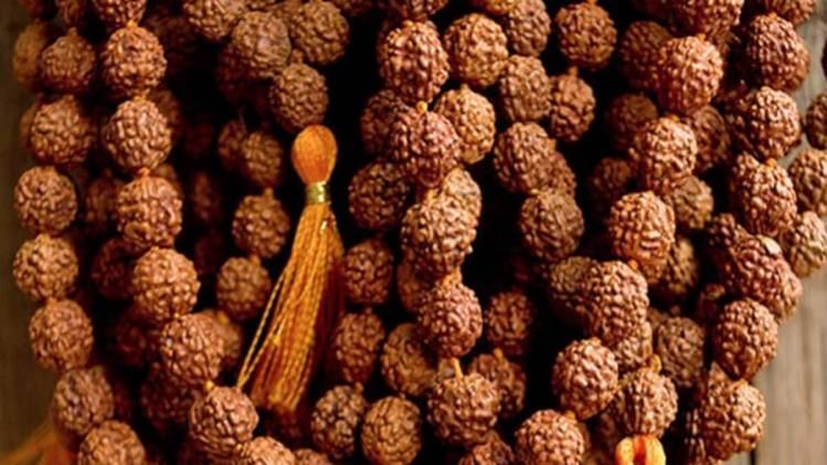 Qozogiston eng gozal qizlar porno