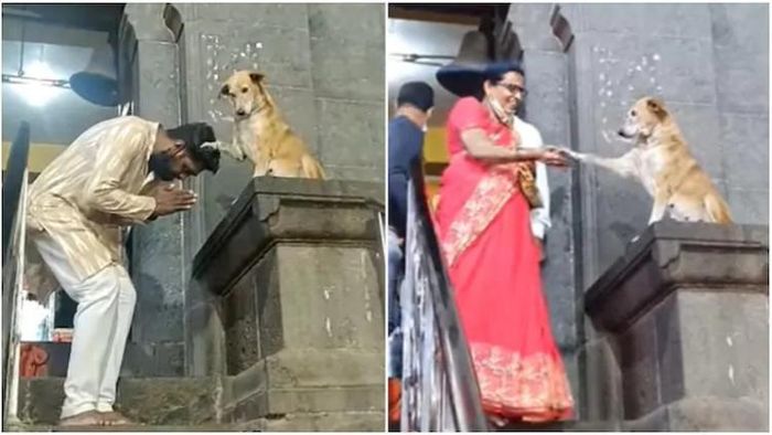 ভাইরাল সেই দৃশ্য