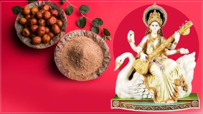 সরস্বতী পুজোর আগে কুল খেতে নেই!