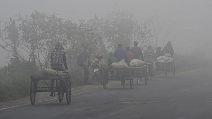 উত্তুরে হাওয়ার হাত ধরে ফিরছে শীত (প্রতীকি ছবি)