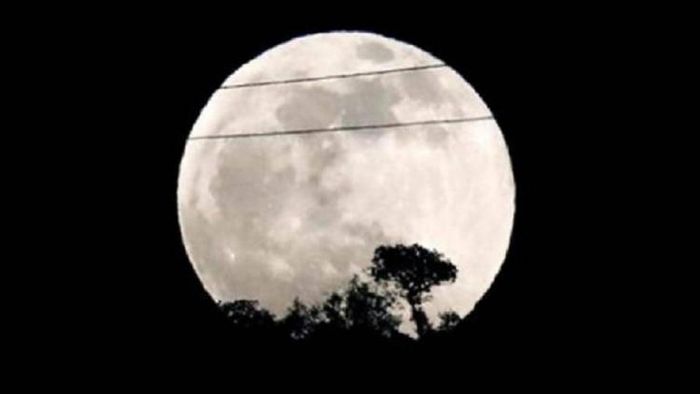 মাঘ পূর্ণিমার এই বিশেষ তিথিতে যে কোনও ইচ্ছে পূর্ণ হয়