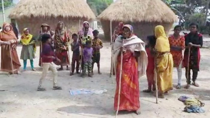 হনুমানের তাণ্ডবে জামালপুরের বাসিন্দাদের জীবন অতিষ্ঠ। ছবি: সুজাতা মেহরা